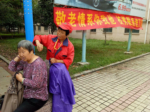 买十二生肖买马的官网